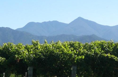 Renwick Maison | Korohi Vineyard BnB