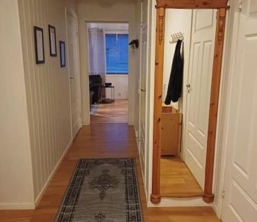 Bjerkvik Maison | kosebua