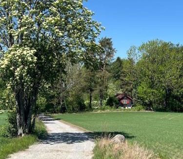 As Municipality Maison | Koselig hytte på eget tun med varmtvanns utedusj