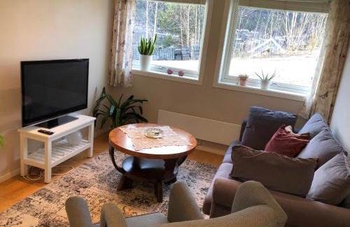 Atra Appartement | Koselig leilighet i Austbygde med Wifi