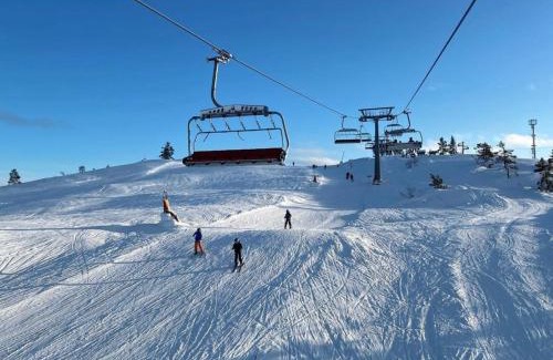 Gautefall Cabine | Koselig leilighet på Gautefall