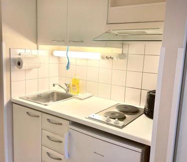 Turku Appartement | Kotimaailma Villa Hortus - Convenient studio for 2