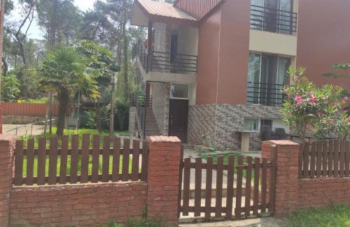 Shekhvetili Appartement | Kottiedzh EDEM