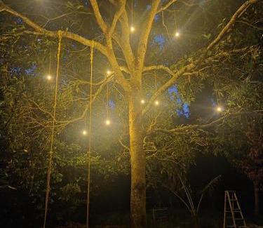 Eramalloor Appartement | Kowdi Farm House