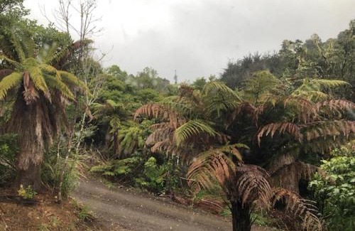 Raurimu Maison | Kowhai Lodge