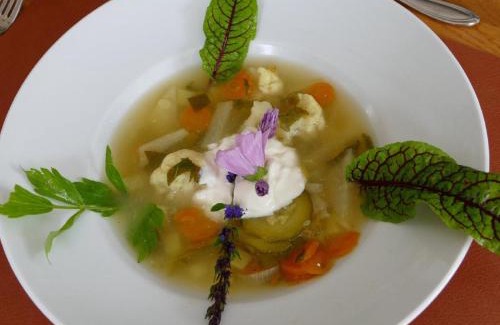 Neuschoenau Hôtel | Kraftquelle Waldhäuser
