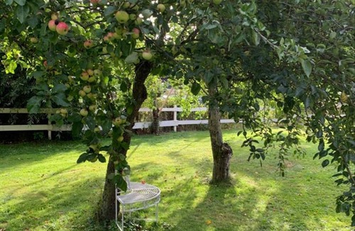 Neu Bartelshagen Maison | Kranich Blick Ostsee am Darß - Luxus & Natur - 2 Etagen Bauernhaus + Grundstück