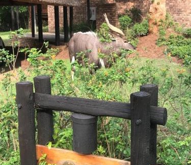 Hazyview Chalet De Ski | Kruger Park Lodge, Kubu Lodge 224