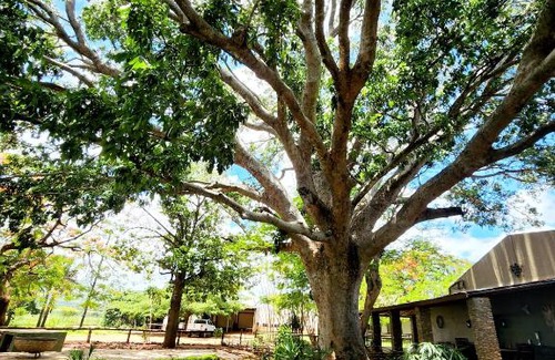 Malelane Appartement | Kruger's SugarView
