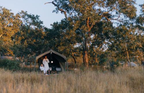 Kruger National Park Autre | Kruger Untamed - Satara Plains Camp