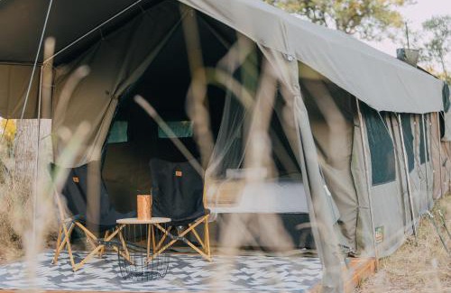 Kruger National Park Autre | Kruger Untamed - Satara Plains Camp