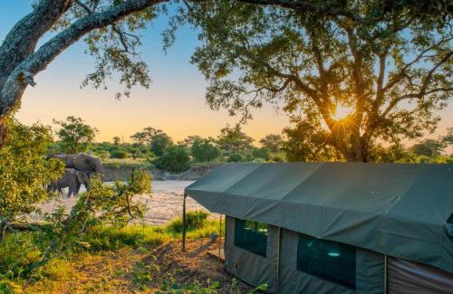 Kruger National Park Autre | Kruger Untamed - Tshokwane River Camp