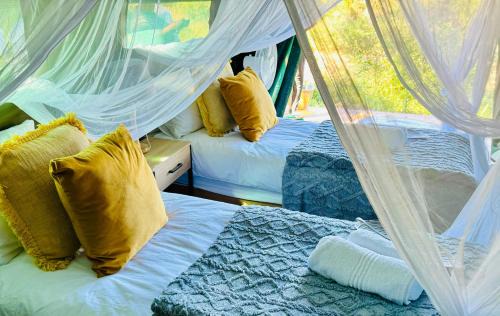 Kruger National Park Autre | Kruger Untamed - Tshokwane River Camp