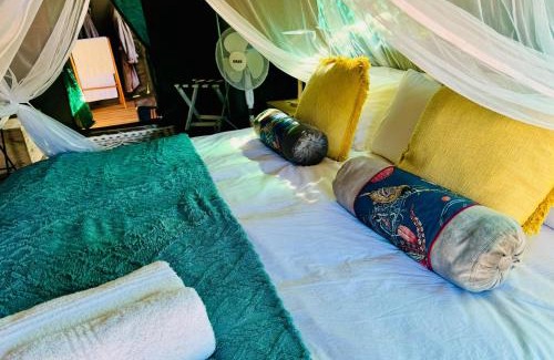 Kruger National Park Autre | Kruger Untamed - Tshokwane River Camp