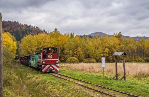 Cisna Cabine | Krzywy Zakątek