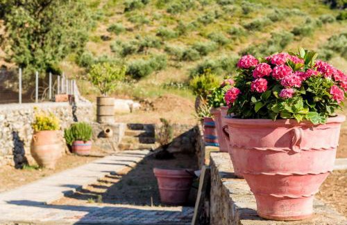 Vlatos Maison | Ktima Abella ✩ Organic Garden ✩ Absolute Privacy