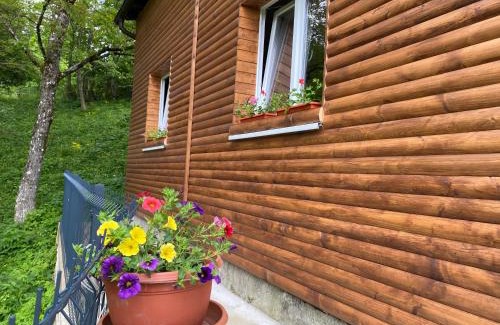 Brod Moravice Chalet De Ski | Kuća za odmor Maklen