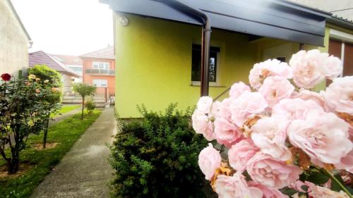 Dakovo Maison | Kuća za odmor Proljeće