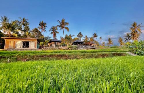 Sawan Maison | Kubu Astina