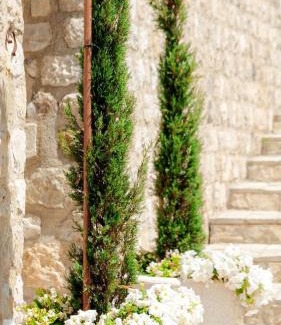 Ulcinj Hôtel | Kulla e Balshajve