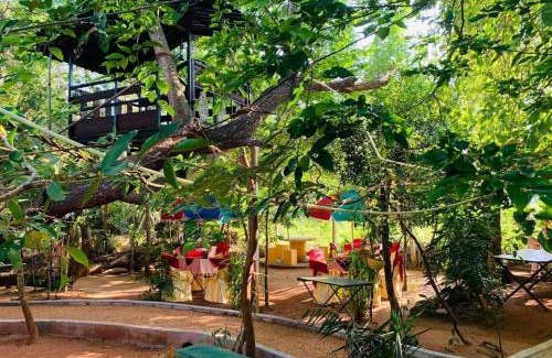 Thalawa Station Balnéaire | Kumbuke Resort