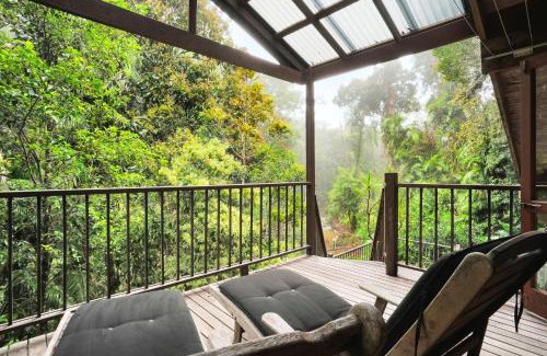 Kuranda Maison | Kuranda Rainforest Chalet