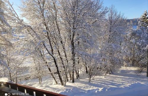 Schluchsee Appartement | Kurhotel Schluchsee App 2313 - Genießer-Apartment mit Südbalkon - mit Indoorpool Schluchsee, Hochschwarzwaldkarte