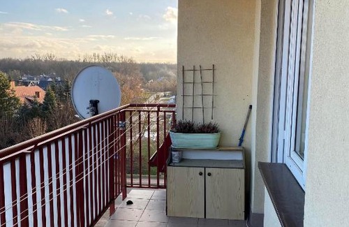 Augustow Maison | Kwatera z widokiem na las
