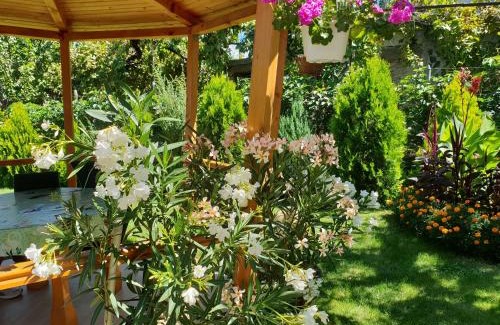 Sapareva Banya Maison | Kyurkchievi Guest House