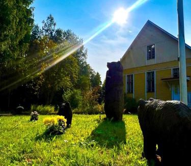 Tiainen Maison | Kyyronkaita