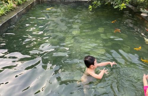 Dong Anh Maison | Lá house Hà Nội