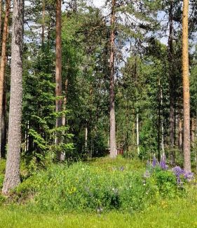 Sorsjon Maison | Lövnäs Sommarhus