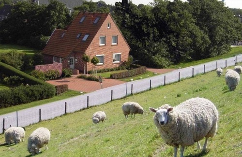 Tossens Appartement | Lüttjes Diekhuus - Ferienwohnung Strandkorb