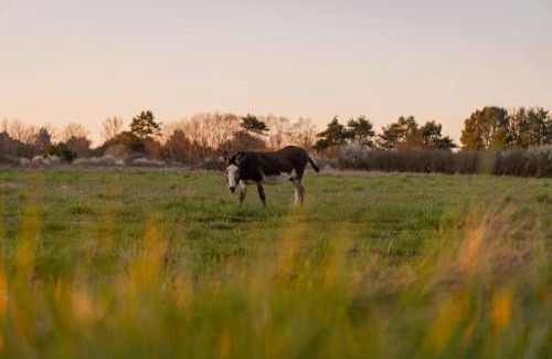 Billy Maison | L'Échappée Royale - Beauval et Route des Châteaux