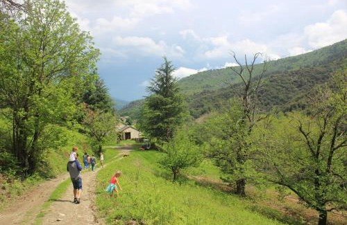 Saint-Privat-de-Vallongue Maison | L'école d'autrefois