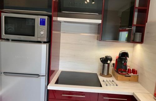 Albertville Appartement | L Édelweiss et sa piscine