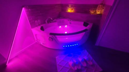 Joigny Maison | L'évasion SPA maison avec jardin, hypercentre, très calme