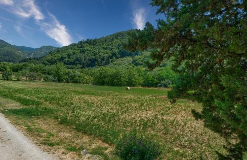 Grezzano Maison | L'aia dì Trippa all'Aria Mugello