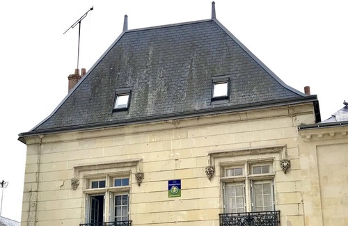 Langeais Maison | L'Ange est rêveur