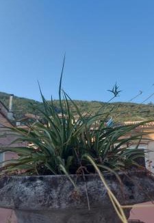 Piedimonte Matese Lit Et Petit-Déjeuner | L'Angolo Rosa B&B
