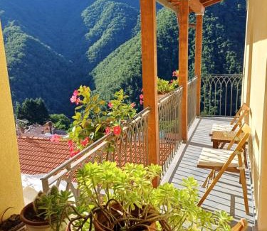 Stazzema Maison | L'Antico Asilo