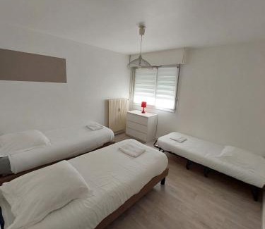 Metz Appartement | L'appart d'Eugénie société selogerametz com