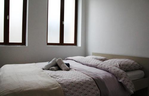 Cambrai Appartement | L'appart T2 centre ville Cantimpré - Cambrai