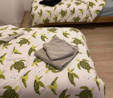 Chateaubriant Appartement | L'appartement des tortues