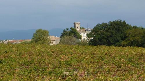 Rustiques Maison | l'Ecrit Vin