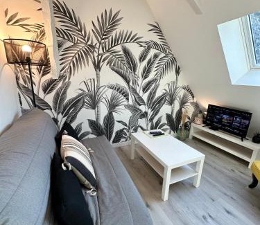 Nay Appartement | L'ENSOLEILLÉ - Classé 2 étoiles - Nay centre - Appartement