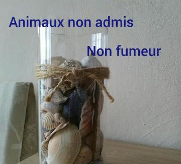 Le Treport Appartement | L' entre mer et falaise