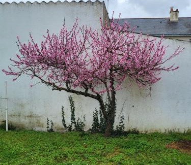 Doue-la-Fontaine Maison | L'escale des roses