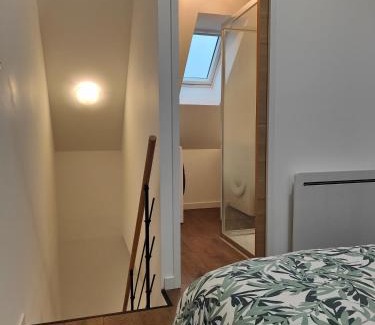 Tille Appartement | L'Escale Jungle