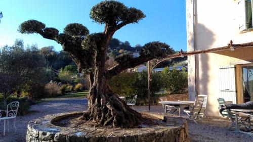 Tourrettes Lit Et Petit-Déjeuner | L'Escale Provençale